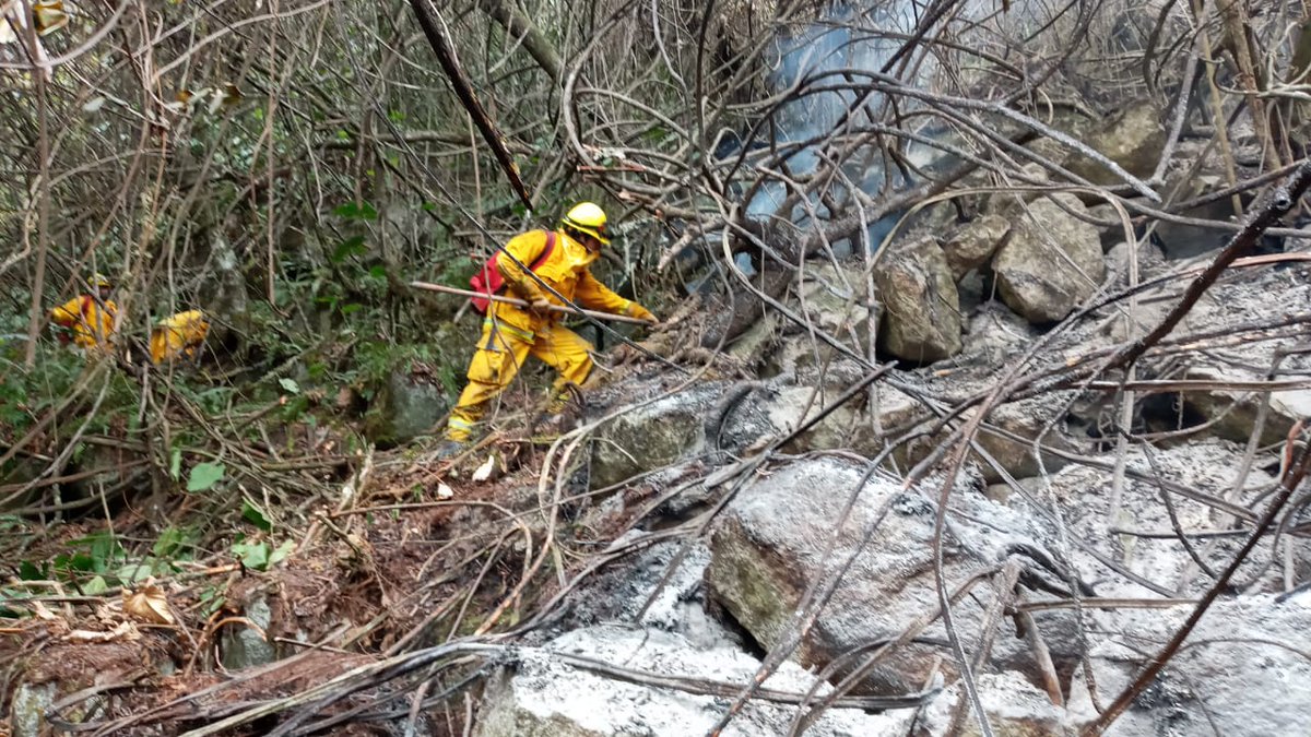 SERNANP's tweet photo. #BuenaNoticia incendio que se producía al interior del Santuario Histórico de Machupicchu ha sido controlado. Personal del #Sernanp @COENPeru @PoliciaPeru @MinCulturaPe se encuentra realizando labores de liquidación y monitoreo en el lugar. https://t.co/uHZG8fJP14