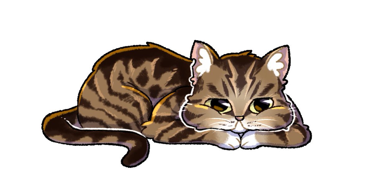 AtomicMangoMom's tweet photo. Dipper has been added to the twitch chat box! Say hello to the chat guardian! Haha!
#chatbox #chatguardian #cat #chat #kitty #chubbycat https://t.co/V7WclBR8YA