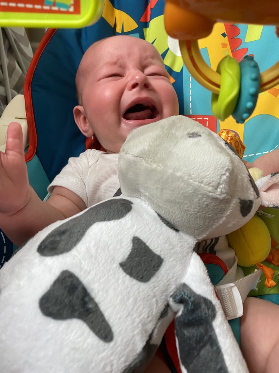 Coach_Cataldo's tweet photo. Today is Gianna’s 1st ⁦@Lions⁩ game. I told her to be ready for a lifetime of hope and heartache. There will be times where you think “there is no way they can lose this game”...but they will find a way. Her response is how I feel each time. #LifeAsALionsFan https://t.co/X4TYc1d2EV