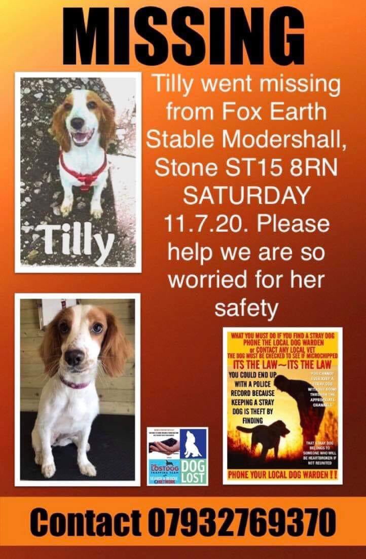 Mollie the Pug tweet media