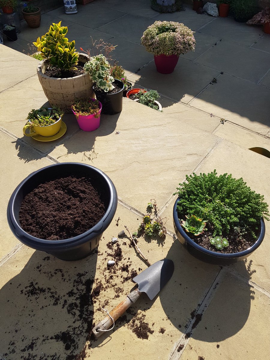 mylovelyliver's tweet photo. Gardening in the sunshine this #PBCDay2020 #movementasmedicine
@PBCFoundation @LiverTrust @AutoImmuneLiver @PBCRobert #SundayThoughts #gardening #succulents
2 liver #transplants for me thanks to #PBC 😖 https://t.co/GEUK7EAiQ3