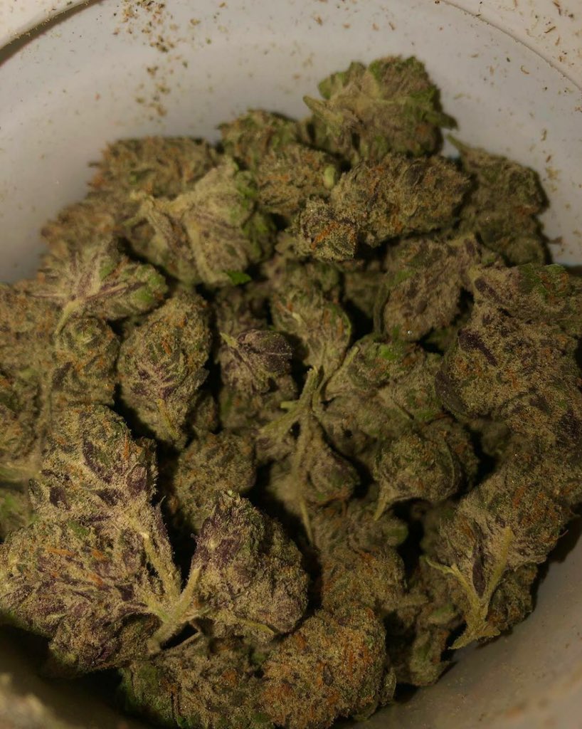 macbeuh's tweet photo. 🇫🇷le meilleur de france contacte pour une livraison sur 
Snap: jamal_kdusal421

#weed #shit #cannabis #hash 
#marocco #caliweed #beuh   
#Weed #420weed #paris 
#livraison #cocaïne #drogue
#ganja #pilon #green #weedlovers
#weedsmokers #Quimper #lapagedustoner https://t.co/MJYXXGD6M2