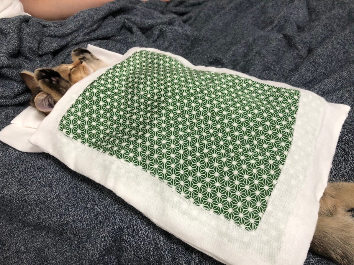 netgeekAnimal's tweet photo. 子猫用ミニ布団作ったら正しく使ってくれた | netgeek https://t.co/6i6l70KJyL https://t.co/8lyp5ULmkD
