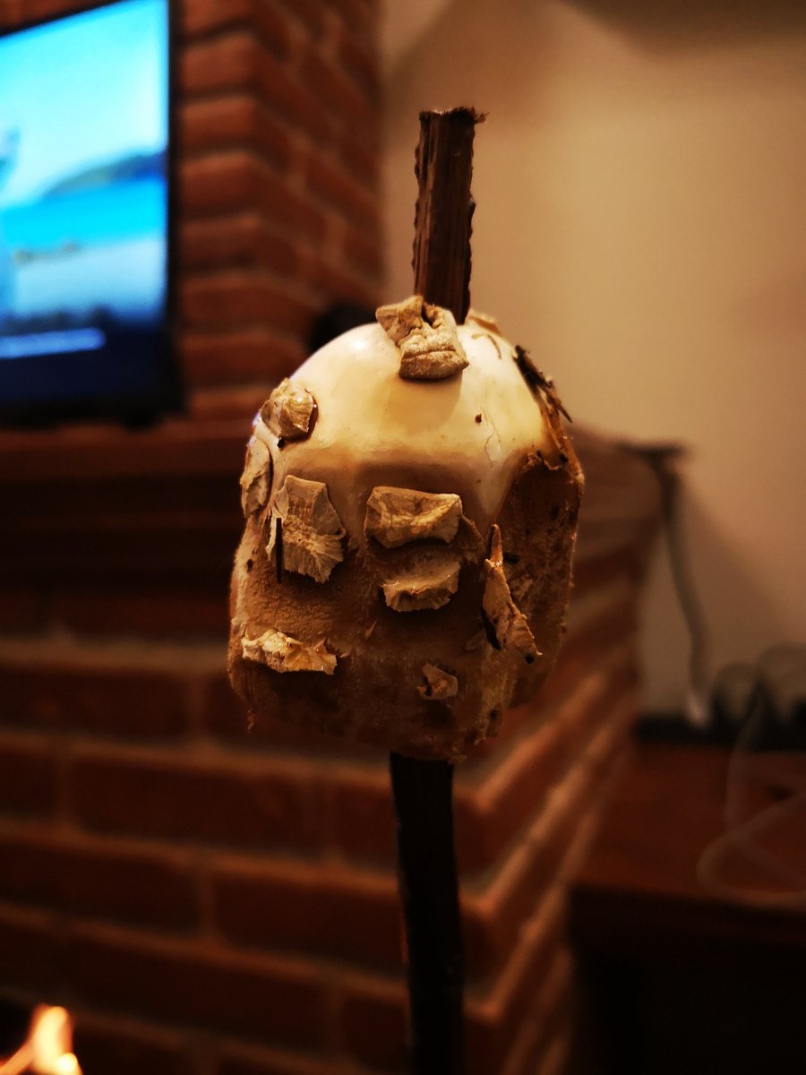 dfosado's tweet photo. ¡Hola @Fungi_Cosas!
Mis sobrinos preguntan si es comestible, venenoso o qué? (Lo pusieron en una varita)
¿Podrías ayudarnos?
¡Gracias! https://t.co/ybLiiHV88D