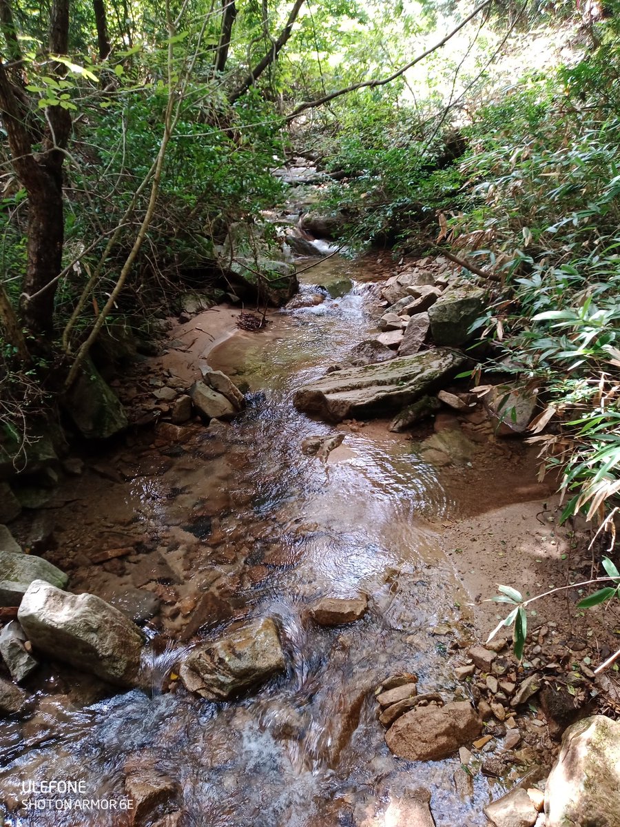 Take_c0621's tweet photo. 北広島の山奥にて。
舗装路とフラットダートのバランスが最高！
あと、水がきれい！ https://t.co/hI6skqYHKu
