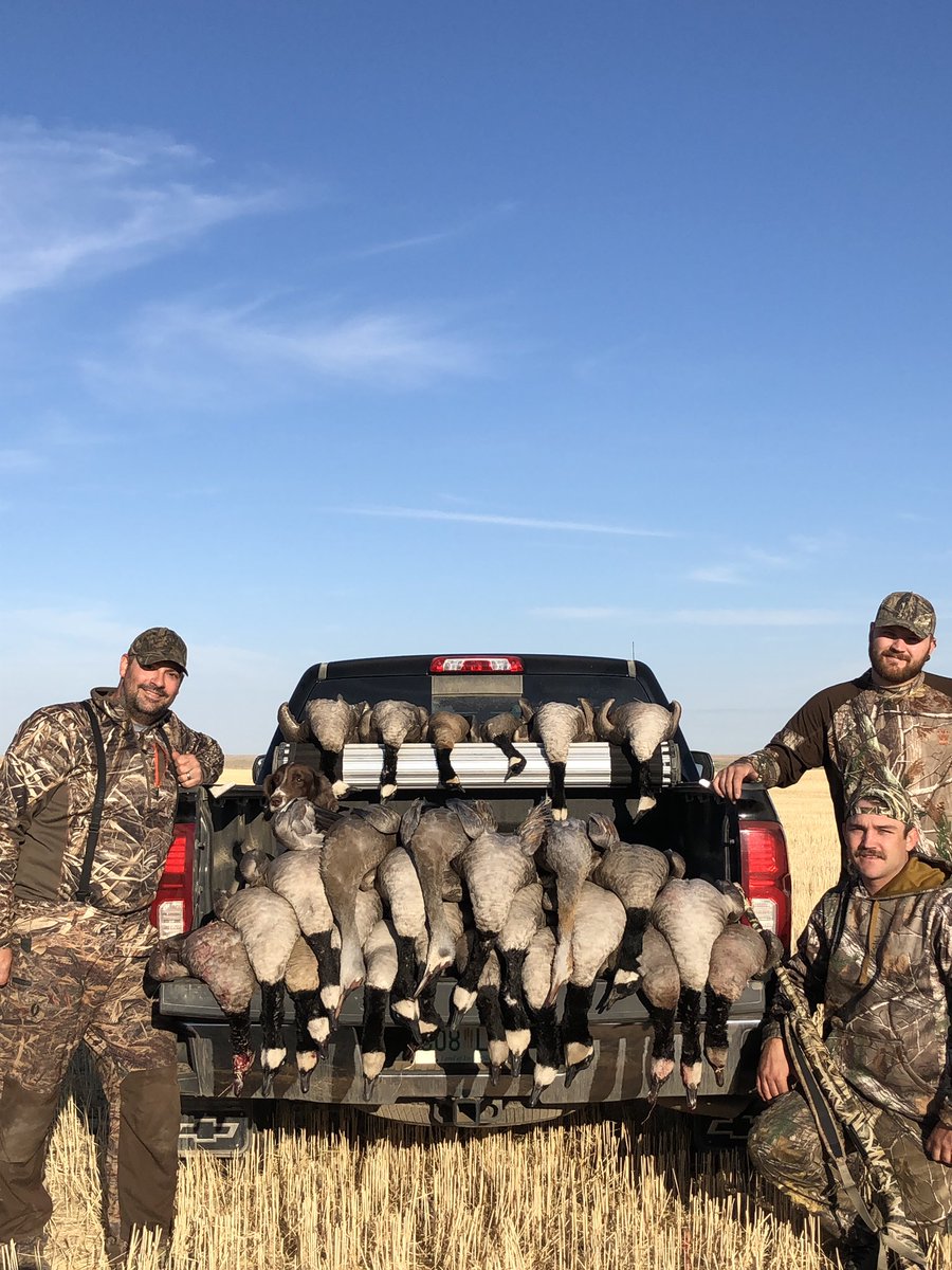Dawson20sask's tweet photo. Got after them geese again. And a couple bonus Cranes #ribeyeofthesky #limits #Saskatchewan #sk #hunting #geese #canadageese #flyingjerky #MakingMemories https://t.co/KNV6yiipMC