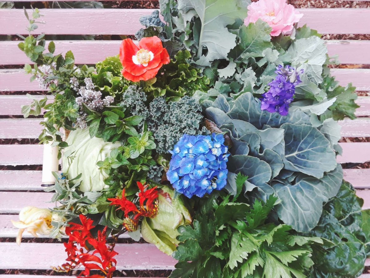 olmecagrotech's tweet photo. We are selling baskets of produce with varieties of #veggies and #herbs, freshly picked from the #garden. 

Call 800-797-0790 or check out our FB page for more info.

https://t.co/yIdgiRbGmU

#CSA #HealthyEating #communitygarden #healthylifestyle https://t.co/UAJPrMMjBB