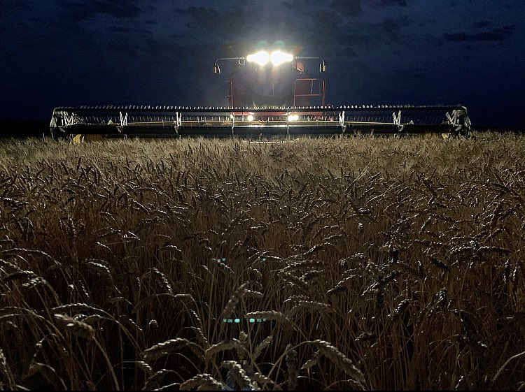 daynavolk's tweet photo. Finished up harvest 2020 with this sweet pic 🌚 https://t.co/6L3UbPPGmQ