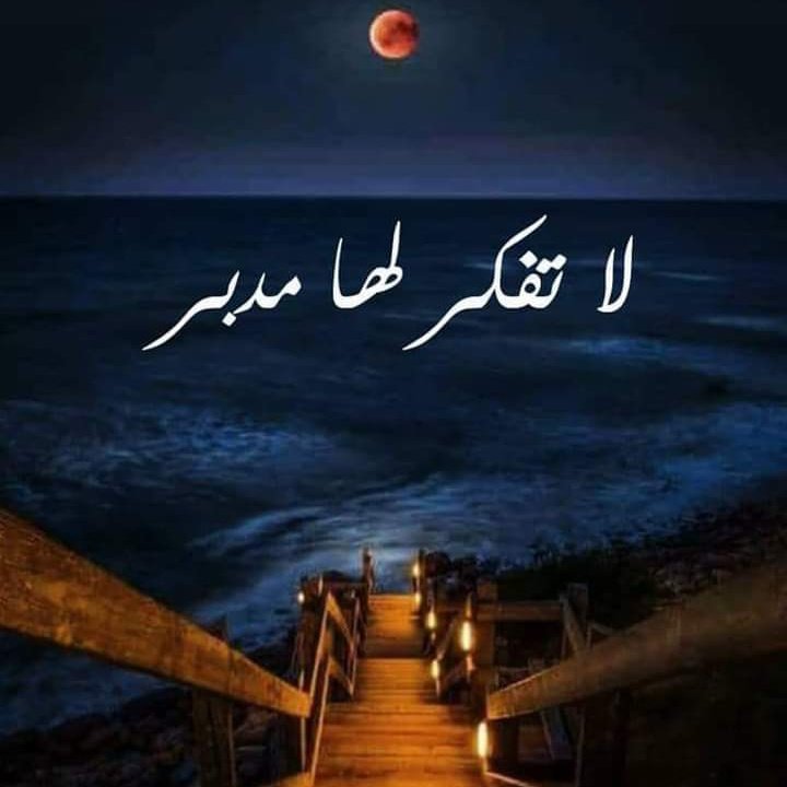 AyaBadrawy's tweet photo. #صورة_ملف_شخصي_جديدة https://t.co/TFCTQNjsSw