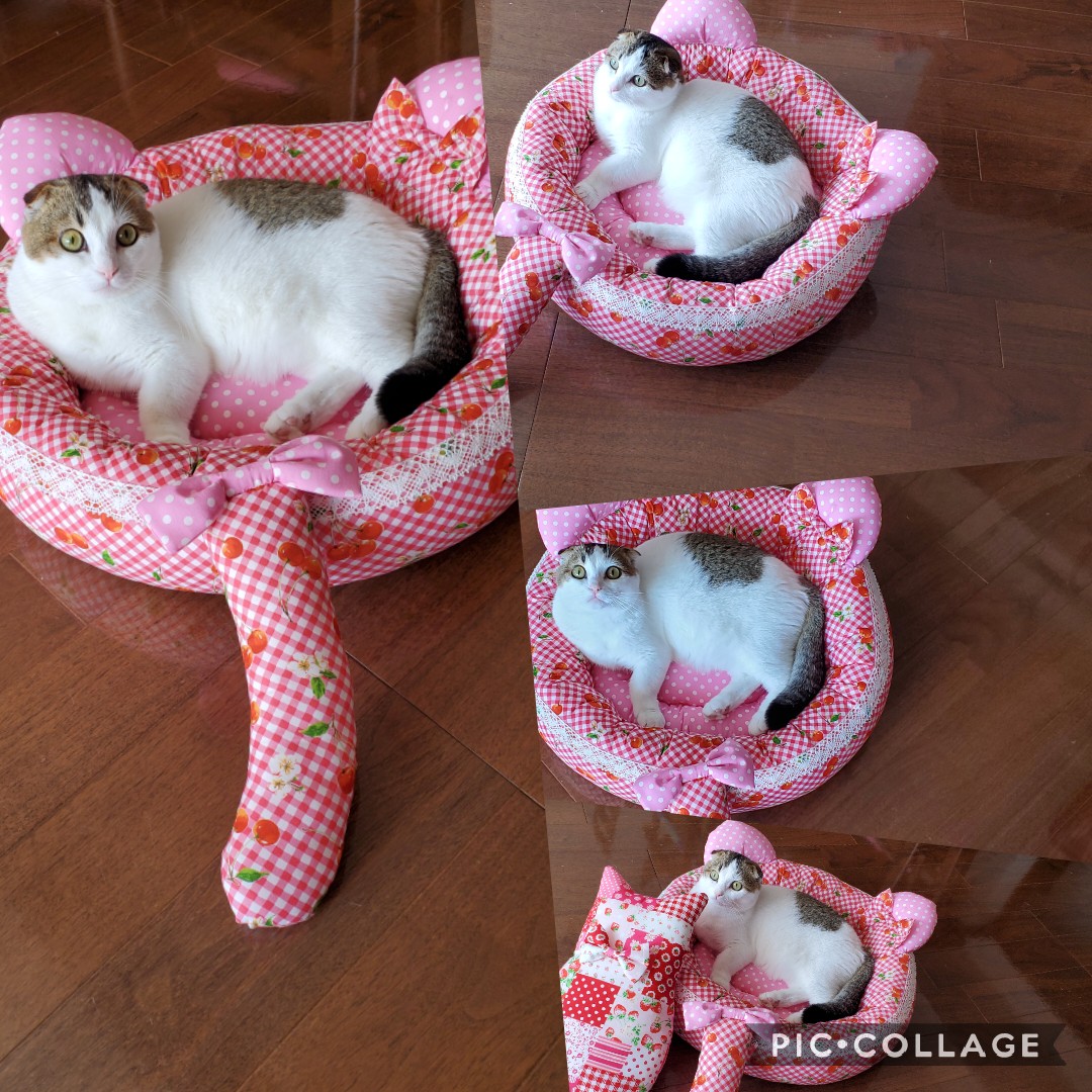 marionxcrea's tweet photo. 猫ベッド届きました。
さっそく使ってます。可愛い��す❤💗💖
https://t.co/iQn1aUgv4P
#ハンドメイドペットベッドのお店　
#surlelit
#猫ベッド
#マンチカン https://t.co/cmFspifS8e