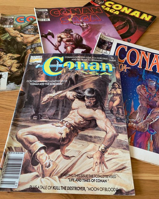 this $5 Conan grab bag from the local comic shop made my day ⚔️? 
