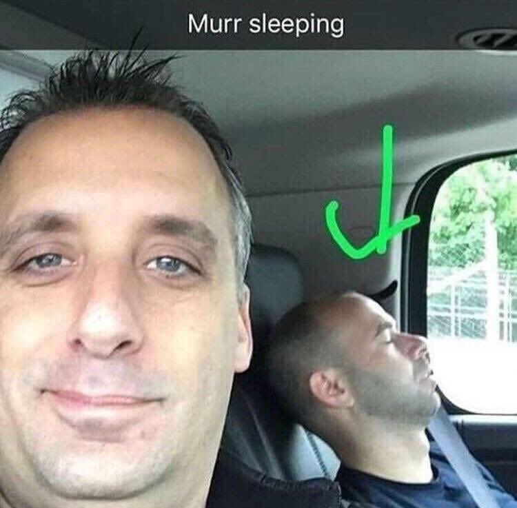 the__meanager's tweet photo. @greenslime4 murr sleeping https://t.co/z2i4nyT1mN