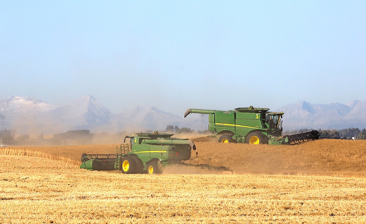 sarahoffin's tweet photo. Who doesn't love an office with a view? Thanks Jerry Clement for sending this beautiful pic in to @GlobalCalgary Happy harvest Alberta! #farmcountry #alberta #albertaag #agriculture #abfarms @TiffanyGlobal https://t.co/wAs9deVX6a