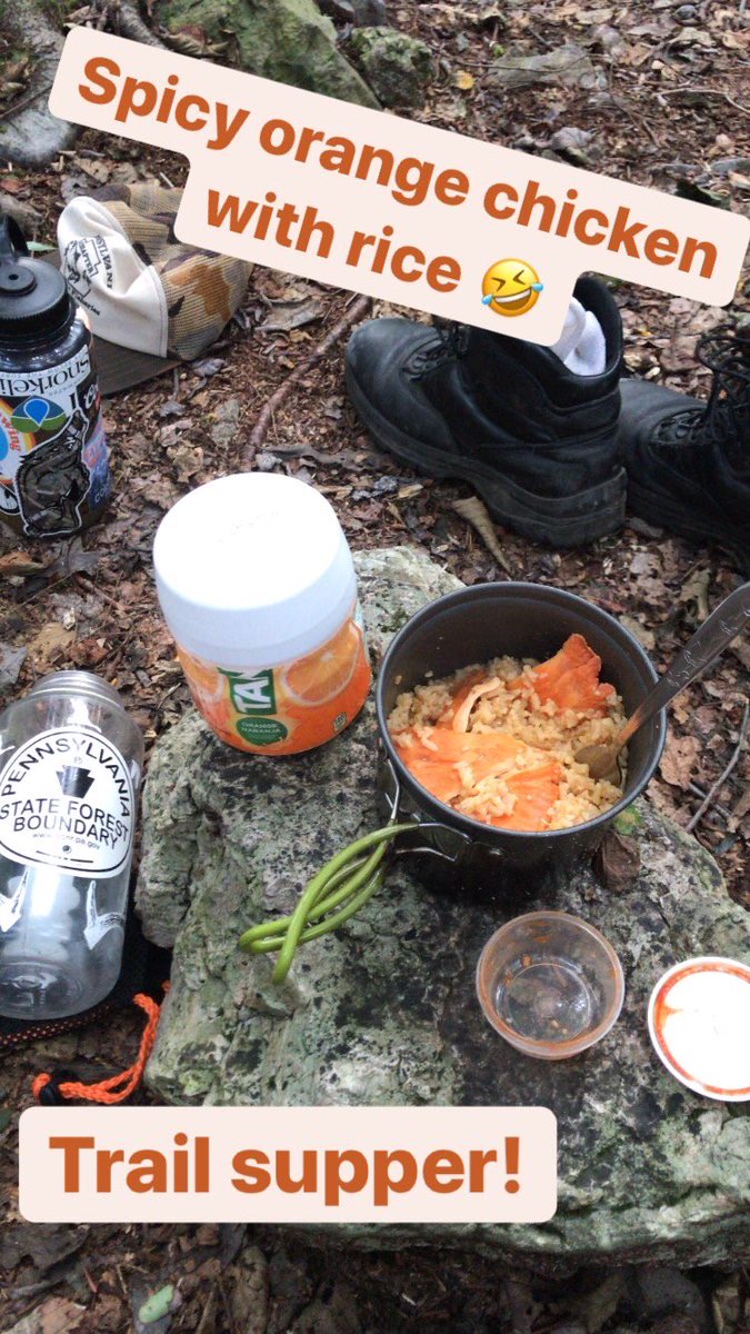 gorski_lion's tweet photo. Logged some miles on the AT over the weekend. #backPAcking #hikePA #PArocks https://t.co/vOVcEPO2R0