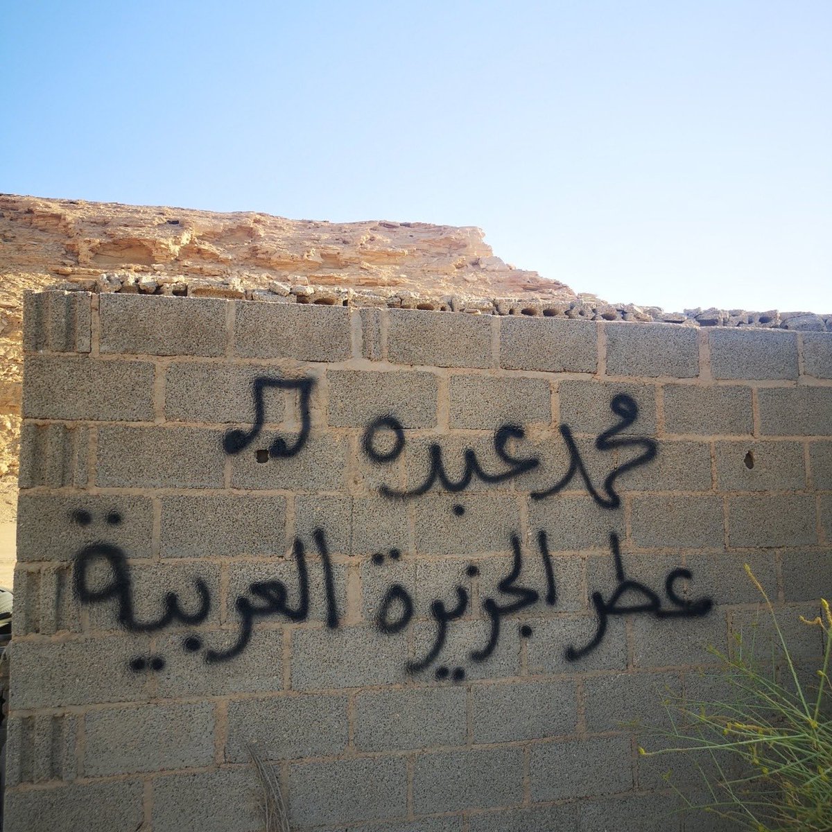 abdullahmalk's tweet photo. @Turki_alalshikh #abdu https://t.co/0TxlTs4HyX