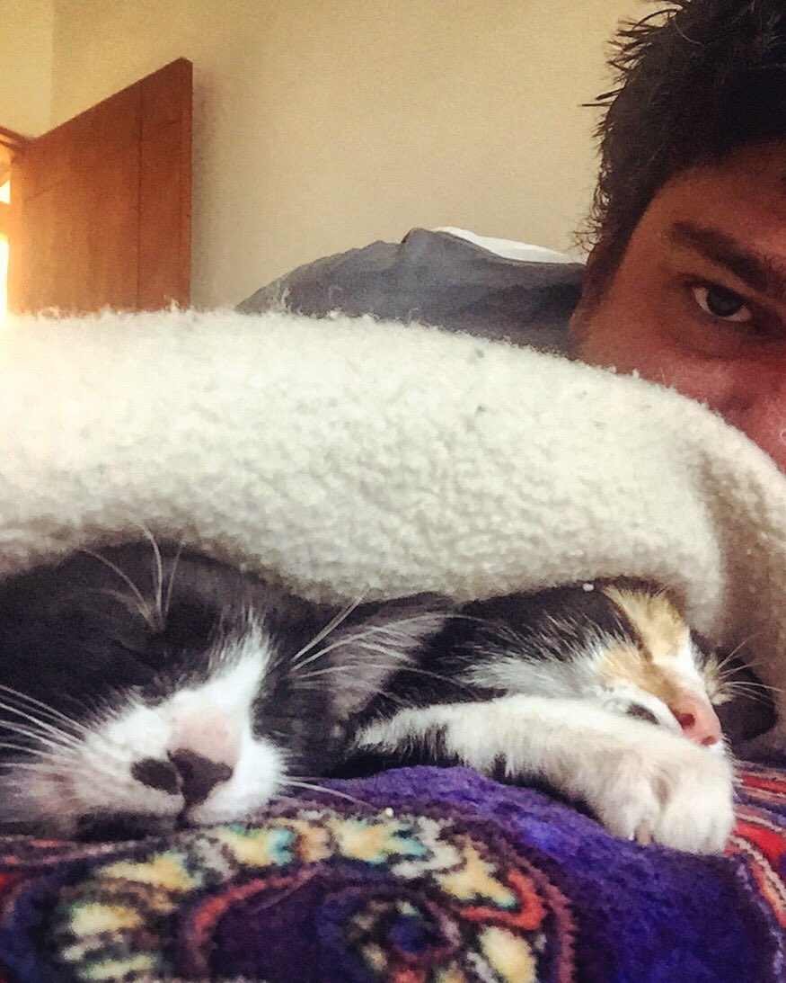 Pablografia's tweet photo. Desde que Sofía y Francisco llegaron el viernes a mi vida he montado ya varias fotos e historias de ellos a Instagram.
Oficialmente soy un Karen.
😻 https://t.co/bRS9YZQajA