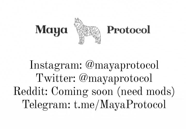 MAYA Protocol tweet media