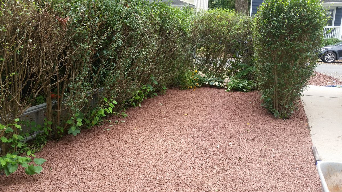 JonathanEvanow1's tweet photo. Nice little bluestone pathway and lava rock install this morning. https://t.co/OynqlUiiir