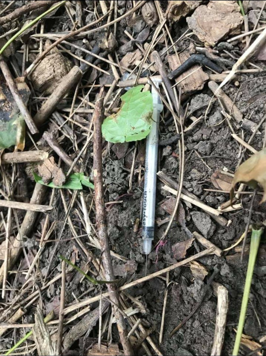 I have removed the tweet with a discarded first aid kit and now post these photos of used needles in parks and school play grounds. I challenge any and all critics to provide an argument as to why using IV drugs on school property is acceptable. #Cdnpoli  @JohnTory