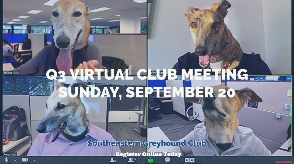 SEGC/SEGA Greyhounds tweet media