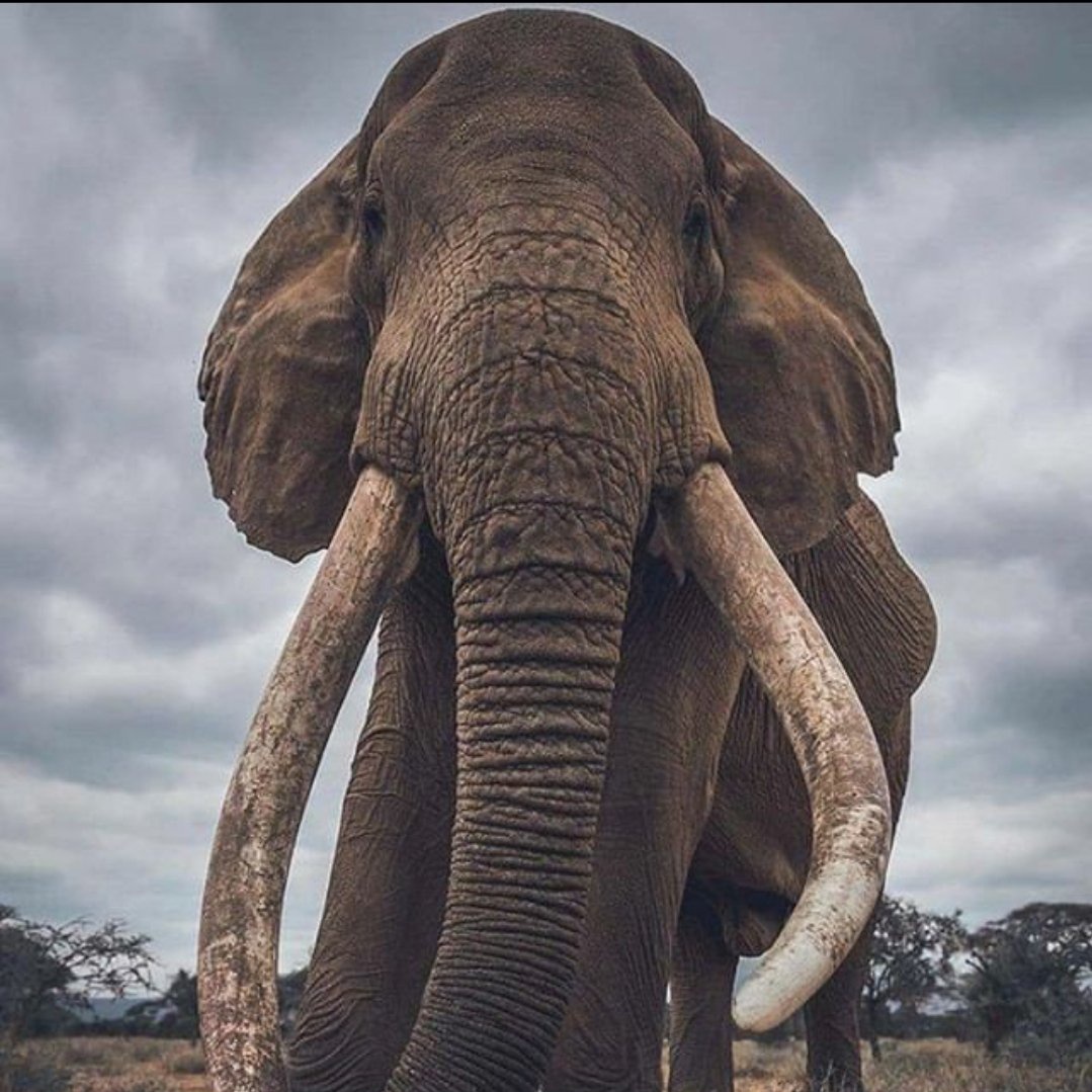 #صورة_ملف_شخصي_جديدة