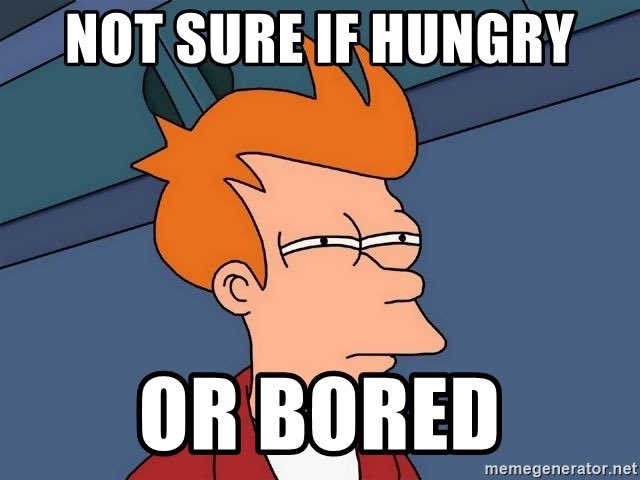 annmarperry's tweet photo. I just ate ten minutes ago... there’s no way I could still be hungry.. or maybe?.. #QuarantineLife #emptystomach ? #MCO335 https://t.co/LR7iR7homu