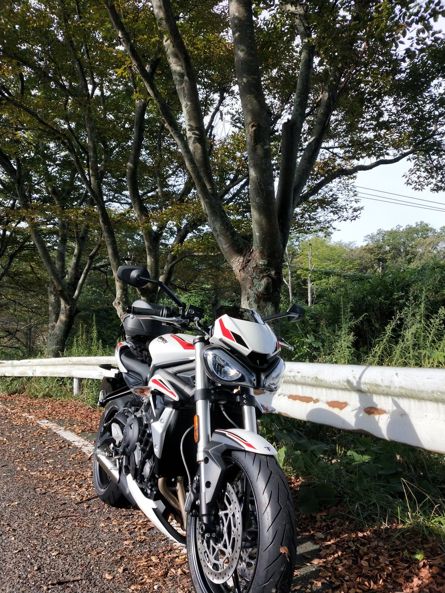Ghost22833356's tweet photo. おはようございます、本日も休みですので、ストトリを慣らしに行ってきます。
#streettriples https://t.co/zupSdqPVQ2