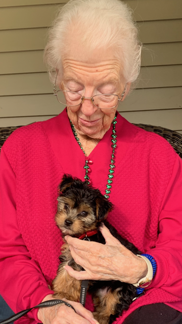BrookdaleLiving's tweet photo. We think Charlie may have Flo wrapped around her paws. This friendship is the fur real deal! https://t.co/tkqyfS0GLE
