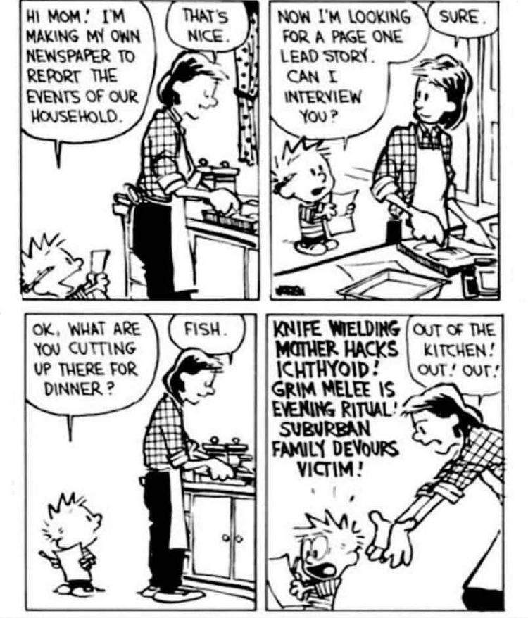 Calvinn_Hobbes's tweet image. Media outlets be like… #CalvinandHobbes