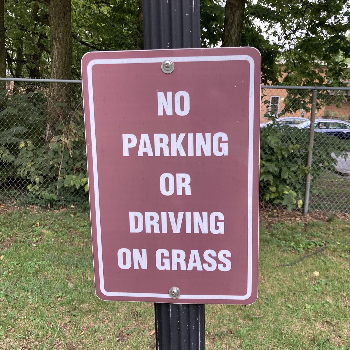 Brian L. Frye tweet media