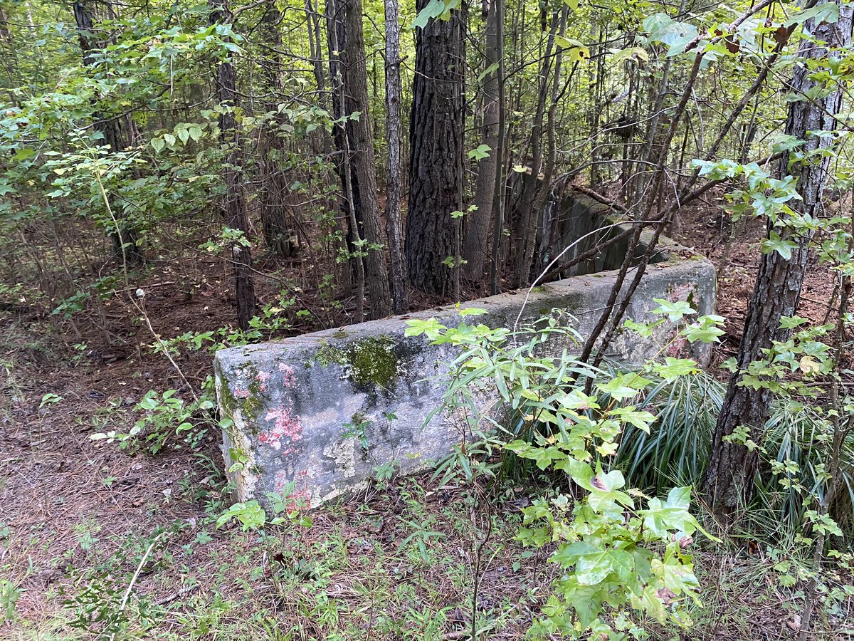 CB Suavé tweet media