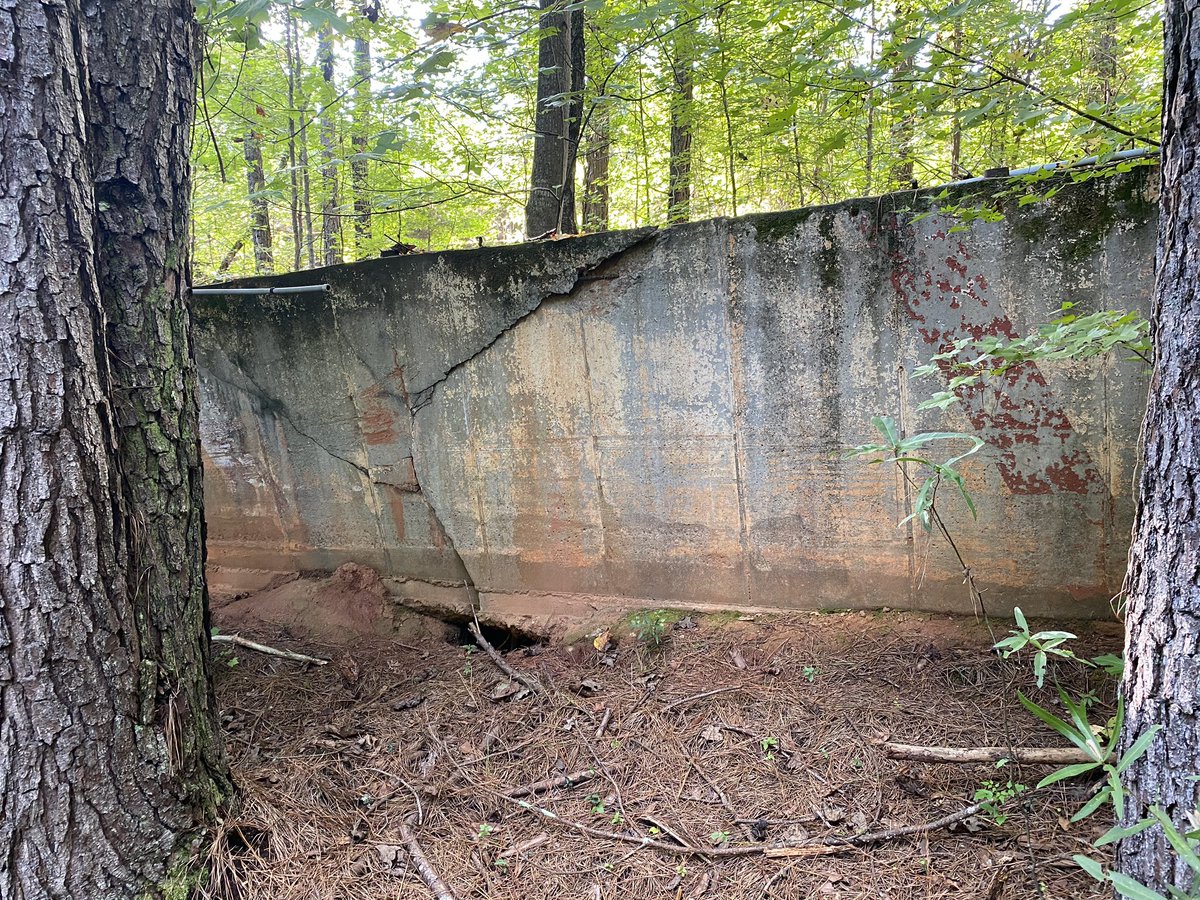 CB Suavé tweet media