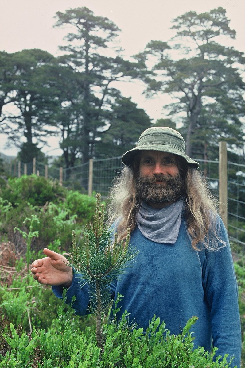 AlanWatsonFeat1's tweet photo. Today is the 30th anniversary of the 50 hectare fence for natural regeneration at Coille Ruigh in Glen Affric. This was the first project I carried out to help restore the Caledonian Forest there - today I'm going out to celebrate &amp; see the recovery that has taken place. https://t.co/ncHpsEqvz7
