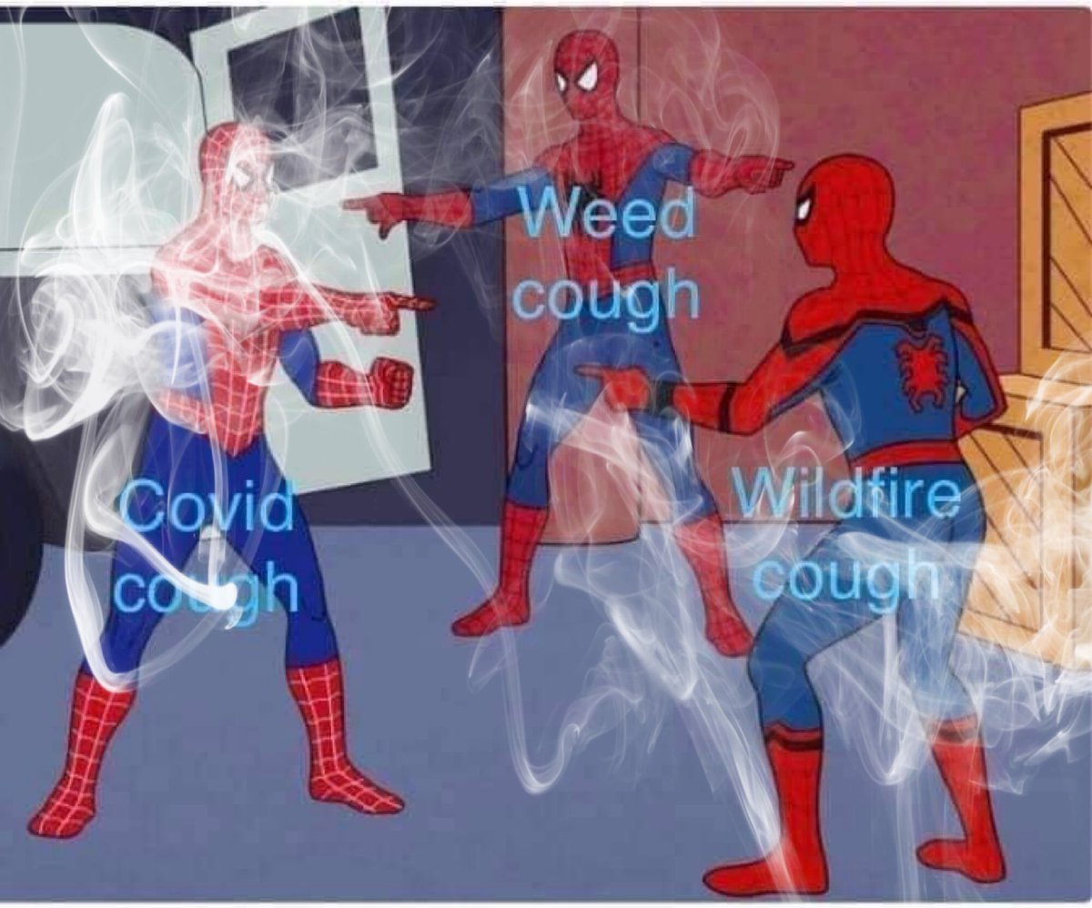 whats the happs tweet media