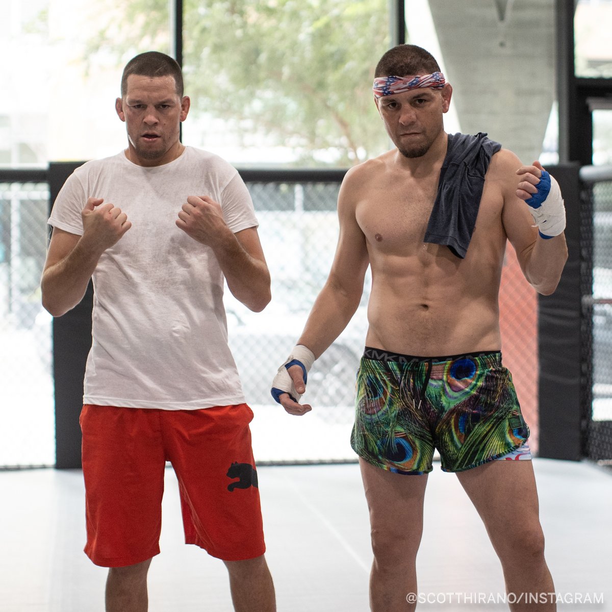 espnmma's tweet photo. Comeback Season 2️⃣0️⃣9️⃣

(📷 @ScottHirano) https://t.co/VITjqpYD0k