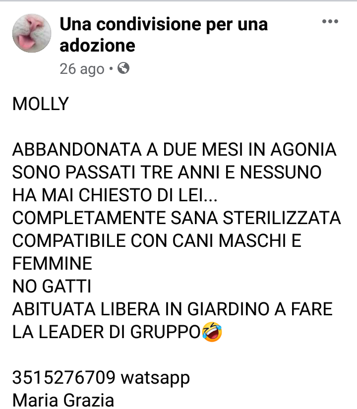 ADOTTA UN CUORE*CONDIVISIONI*APELL tweet media