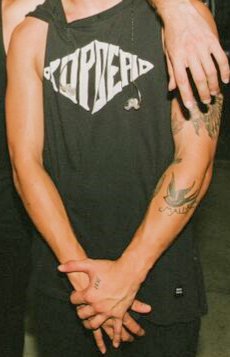 We are going to go on to his arms and specifically his left tattooed arm... and also... his swollness.
