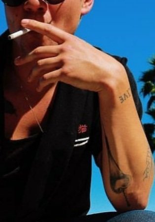 We are going to go on to his arms and specifically his left tattooed arm... and also... his swollness.