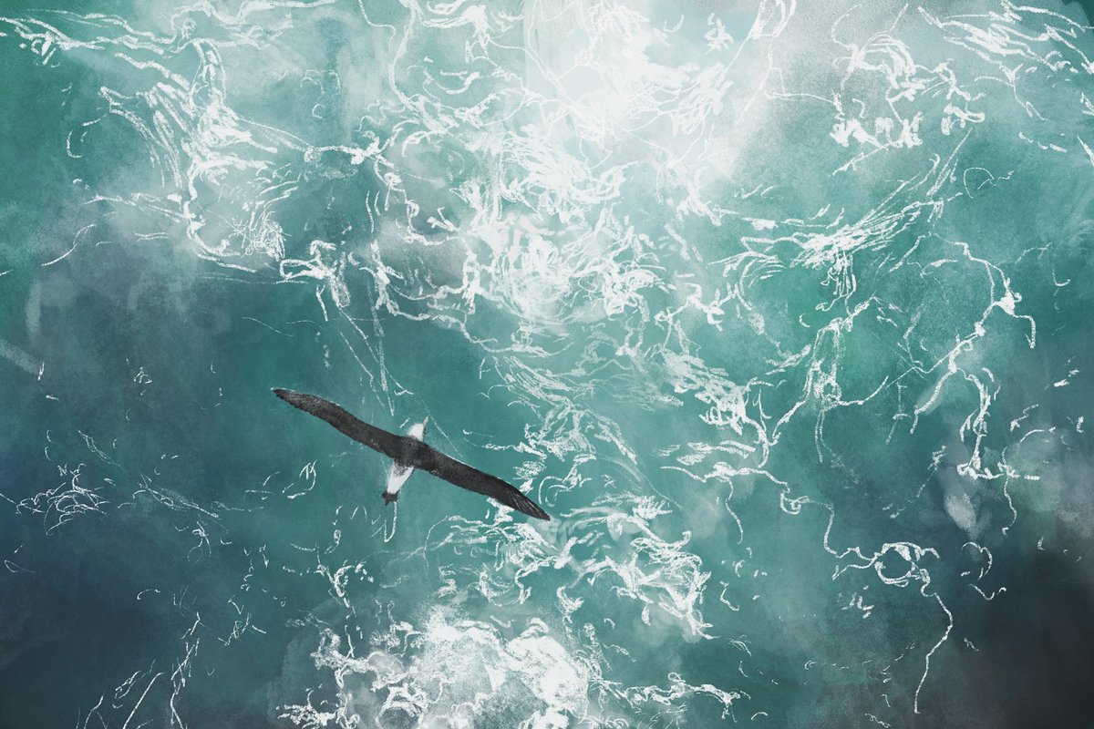 lyjii's tweet photo. among waves https://t.co/XZxwbnA0RD