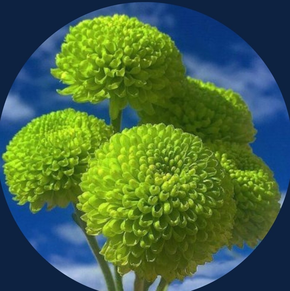 Oceanblue9721's tweet photo. #NewProfilePic https://t.co/vybOJOxv85