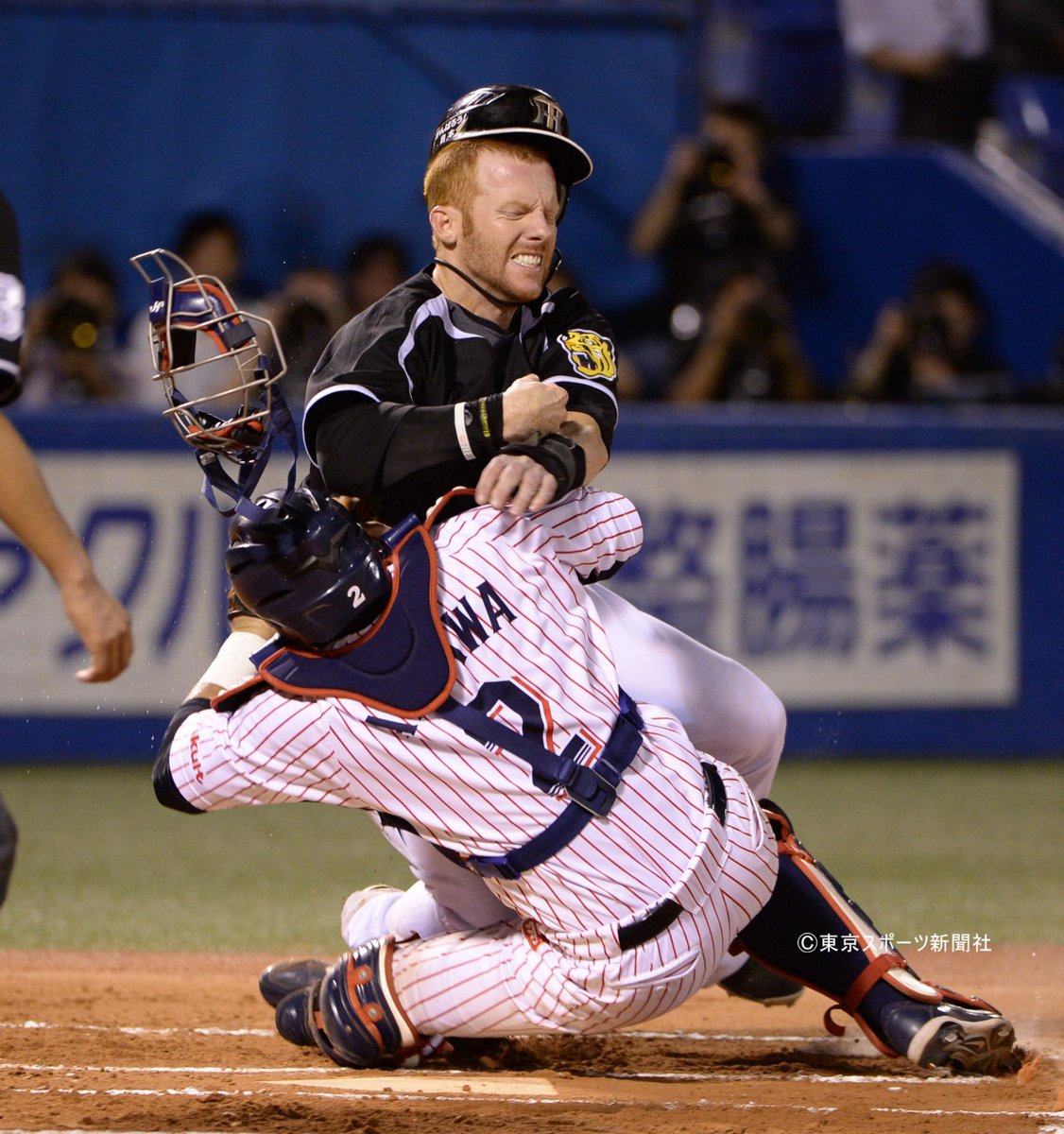 今日は何の日？】 マートン×相川亮二。燕×虎。 2013年 9月14日
