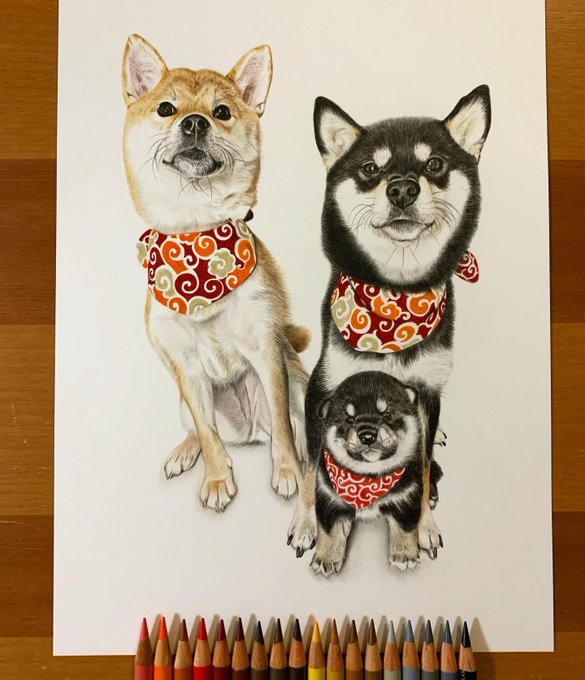 ここまる 著書 超絶リアルな色鉛筆画のテクニック 絶賛販売中 さん の人気ツイート 3 Whotwi グラフィカルtwitter分析
