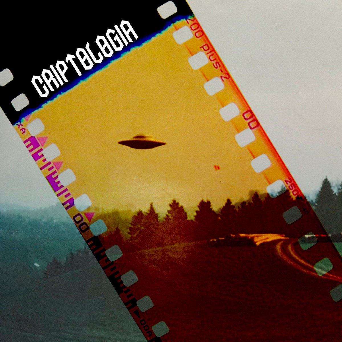 Mundo_Freak's tweet photo. Criptologia S02 EP03 | Judit
https://t.co/iKziyqlTDt
#criptologia #podcast #ufologia #mundofreak #judit https://t.co/BYqRpUlnxA