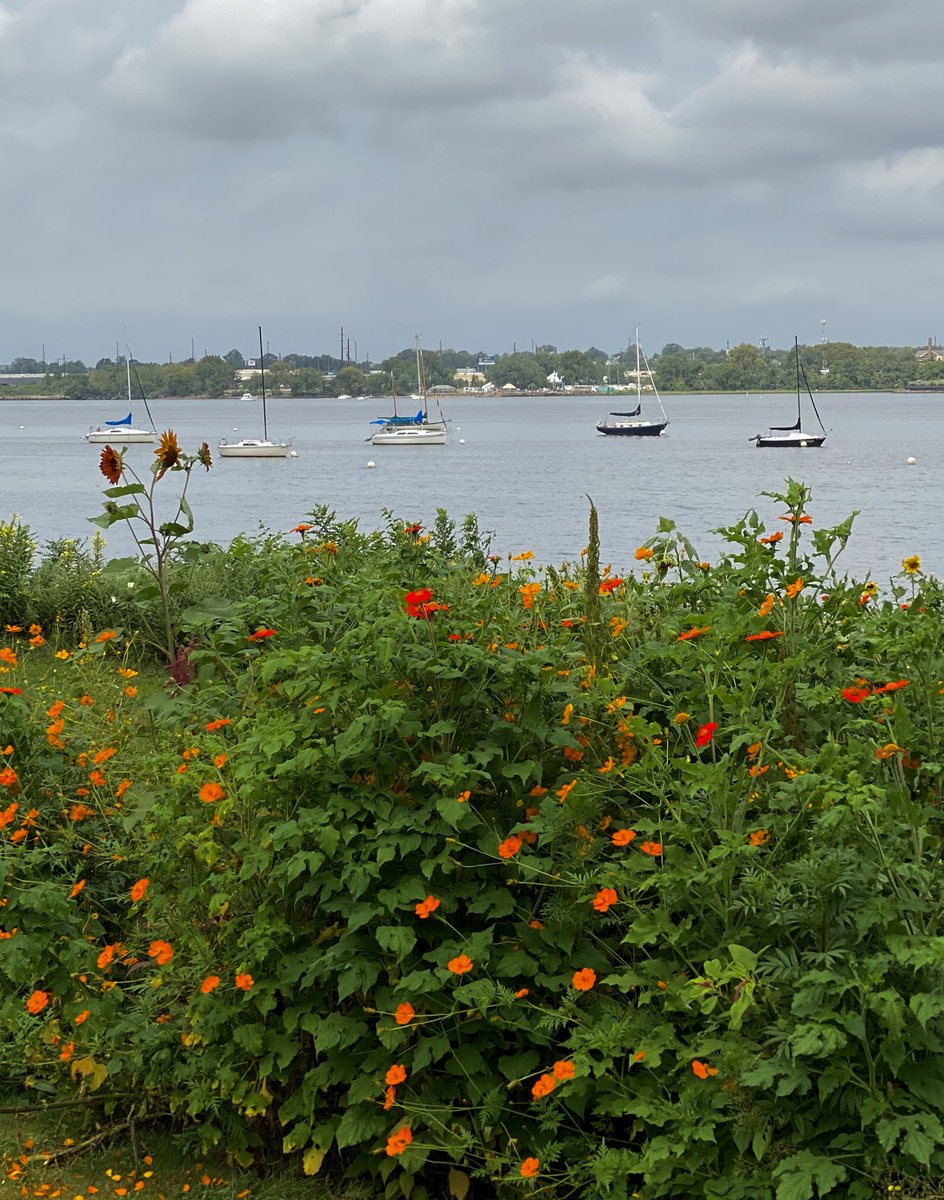 Hope your week is as beautiful as this seaside beauty! Have a FAB week! 😊 xo ||PC:⁦<a href="/ToniMuskett/">Antonia Caruso 📷</a>⁩ #TONI🇺🇸 ( #photographer #photography #photo #seaside #water #nature #outdoors #motivation #newjersey )
