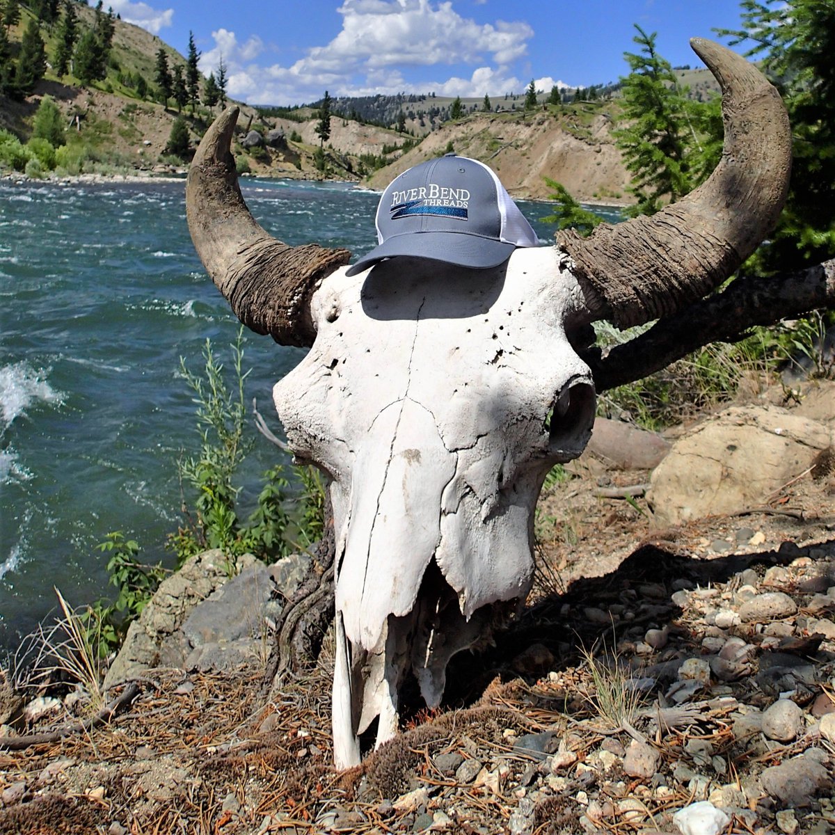 RiverBendThread's tweet image. Awesome hat buddy!