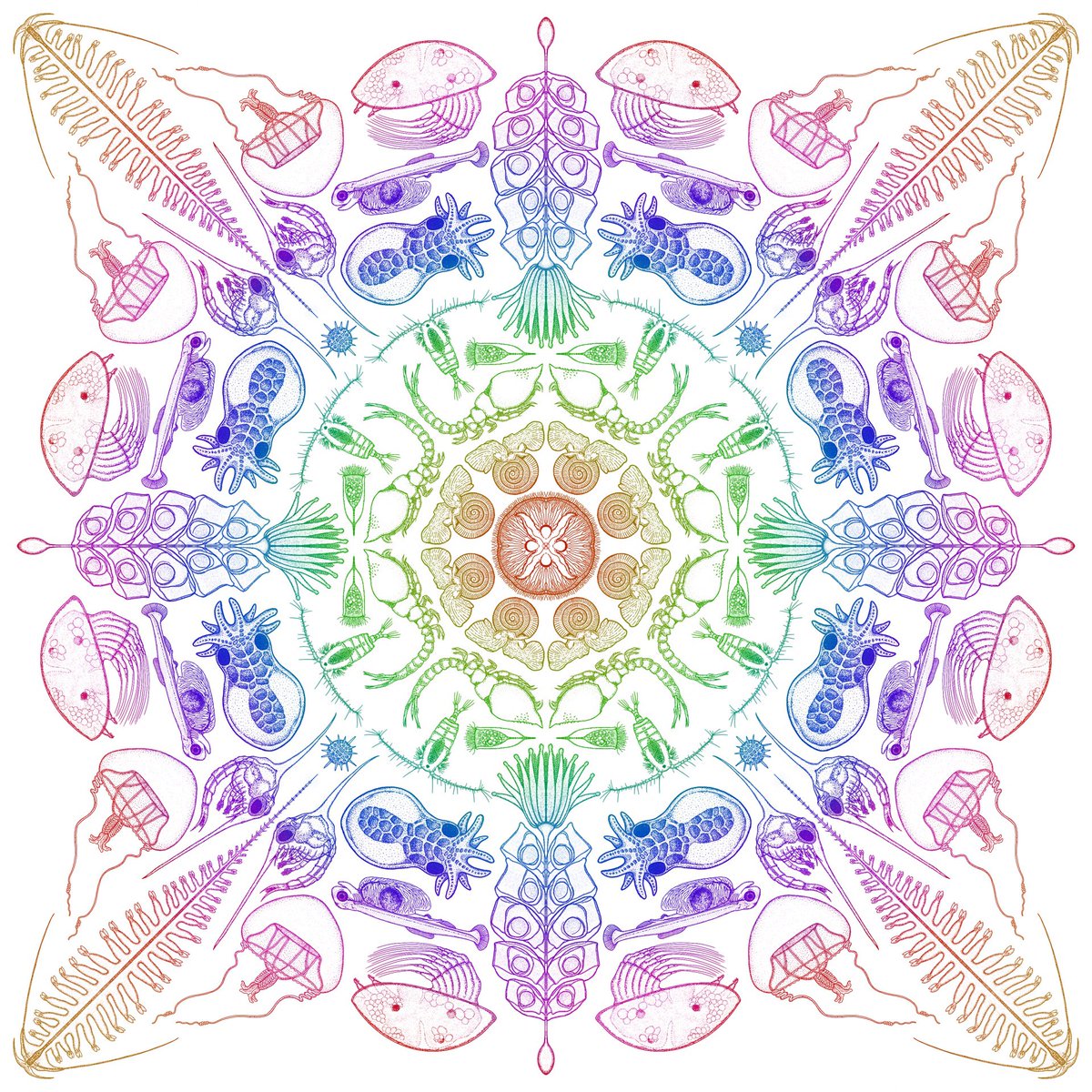 Patrick Pata tweet media