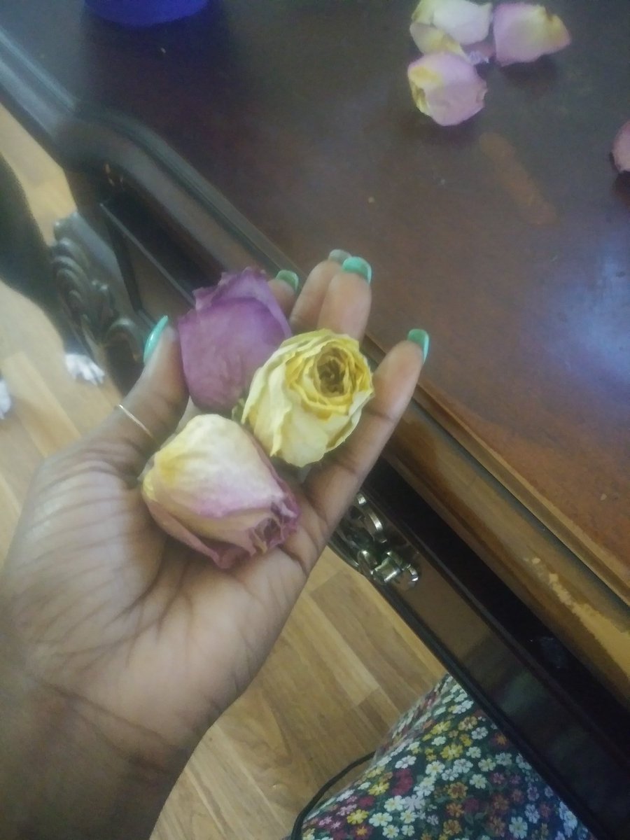 LoveAuset's tweet photo. So thankful for the harvest...these are going to make some beautiful Love B. Beauty Essentials Body Oils, Cuticle Oils and Brown Sugar Scrubs. Made sure to bless my Ancestor altar with some petals...the recipes i use are 5 generations deep 🖤™ #LOVE 
 #FreshlyDried #RosePetals https://t.co/n6yD335FLo