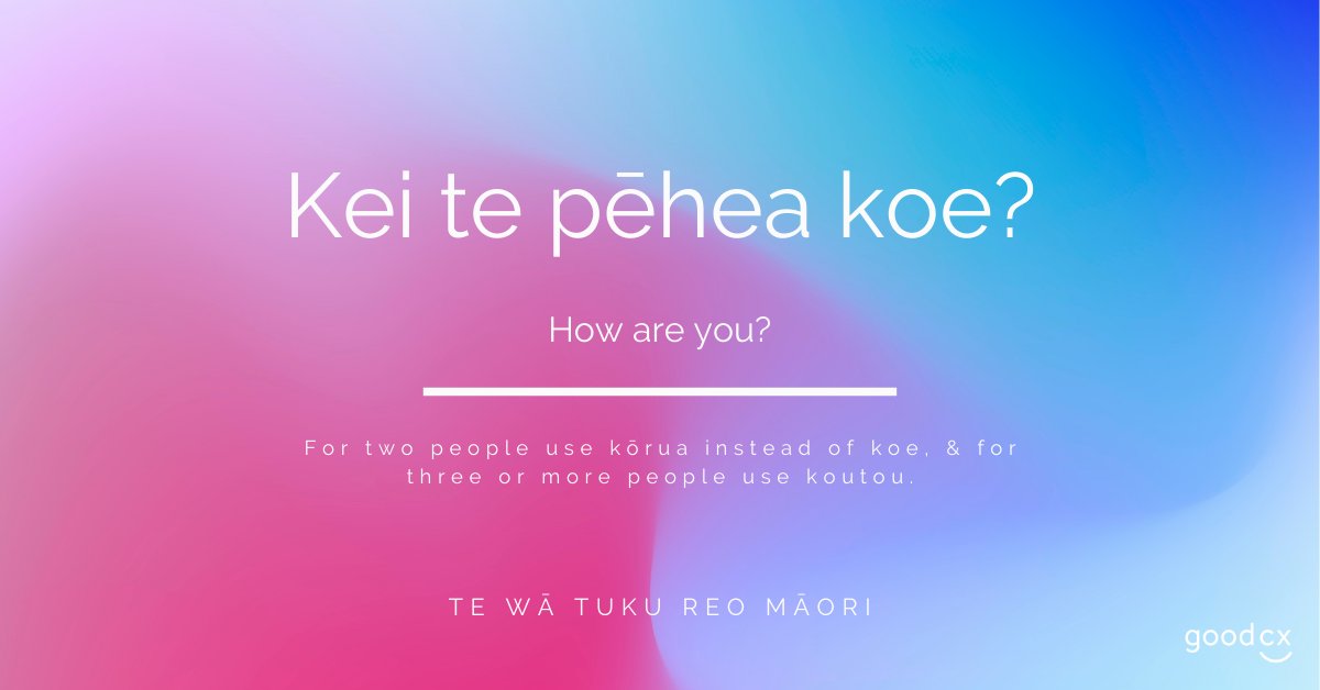 #Kiaora koutou katoa, It's Te Wiki o te Reo Māori Maori language week! We're trying out some phrases at Good CX. What's your plan to celebrate Te Wā Tuku Reo Māori? ⠀⠀⠀⠀⠀⠀⠀⠀⠀
⠀⠀⠀⠀⠀⠀⠀⠀⠀
#reomāori #tewikiotereomāori #māori #reomaori #tewikiotereomaori #maori