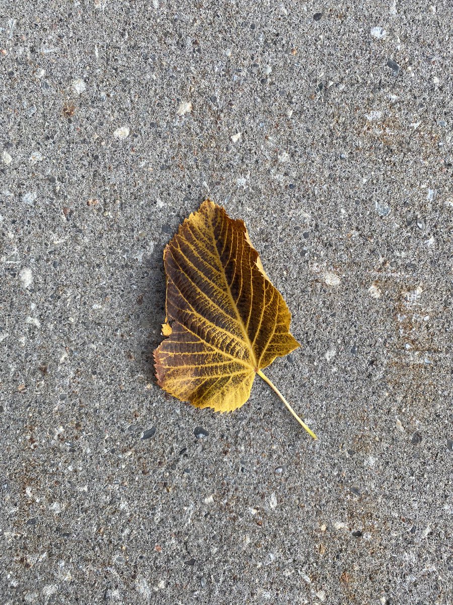 I found this in front of my house. I don’t like where this is going!!