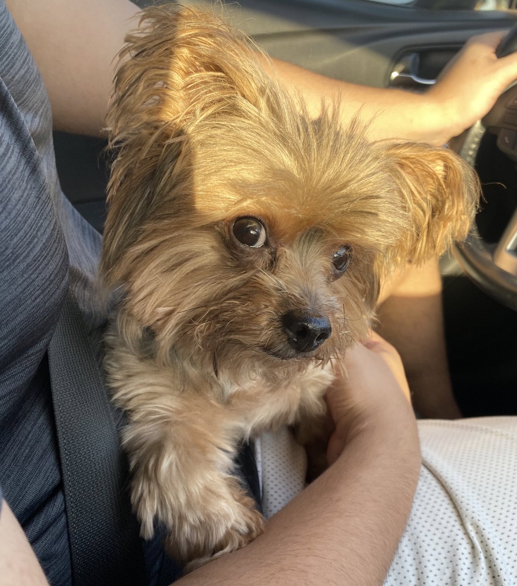 marlynee13's tweet photo. *gets food* 
Bentley: https://t.co/wOpWDB2ikX